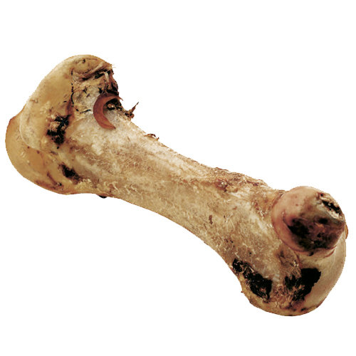 PETMAN Snacks - XXL Knochen vom Strauß (ca. 30cm) 1 Stück