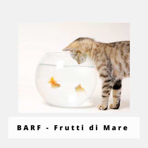 Katzenfutter mit Fisch, Frutti di Mare für Katzen
